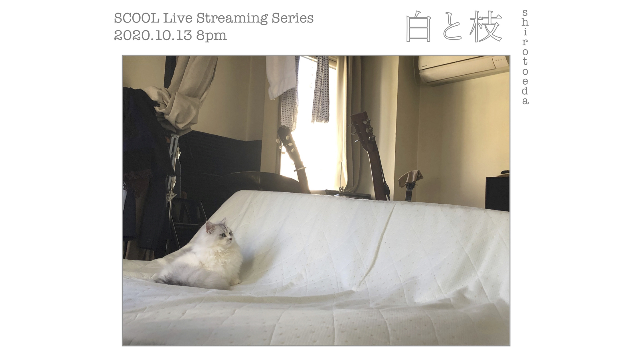 SCOOL Live Streaming Series　<br>白と枝