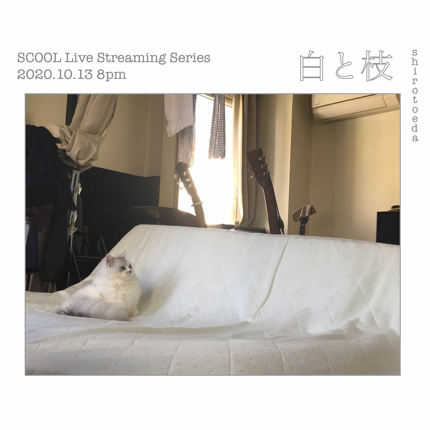 SCOOL Live Streaming Series　<br>白と枝